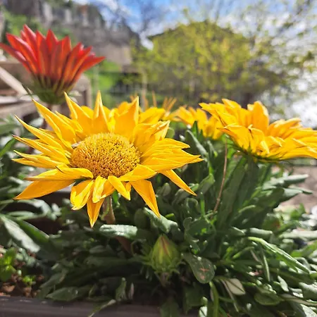 Apartmán Casa Marilyn Agerola