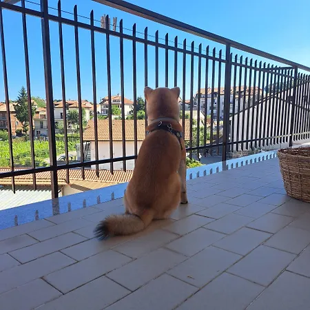 Apartmán Casa Marilyn *